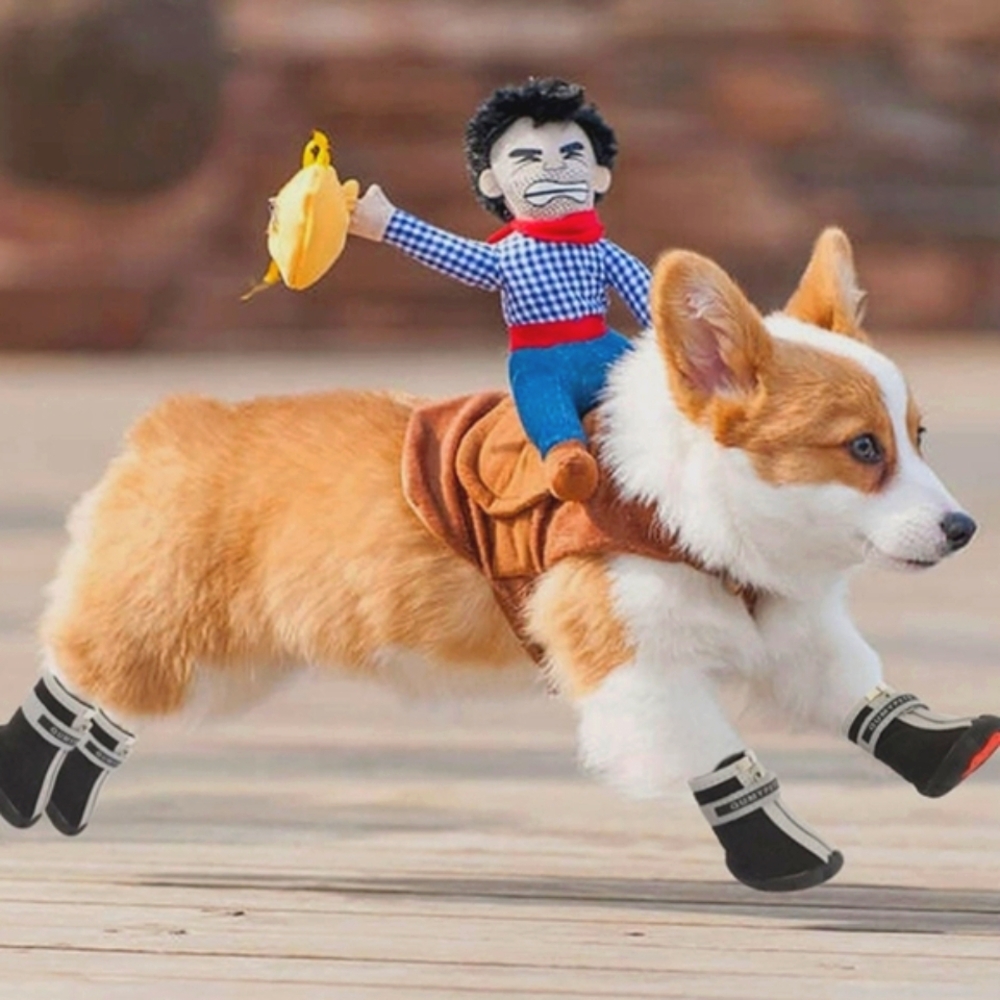 Dog Boots / Shoes Waterproof Size 3 (small)